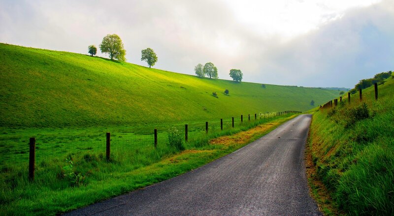 Asphalt Road in Green Hills