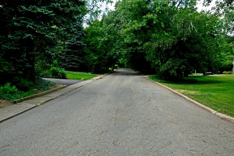 Asphalt Road in Park — Green, Serene, Afternoon, Photograph, Trees