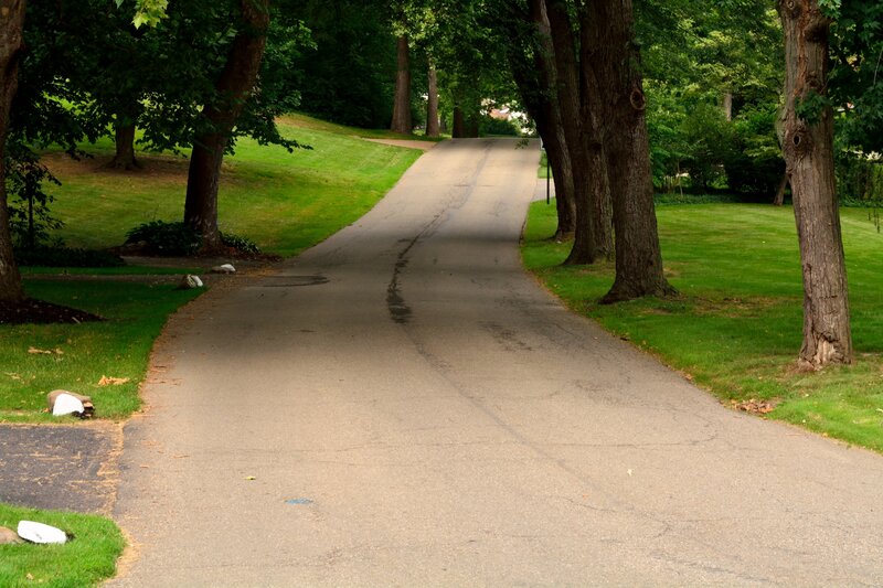 Asphalt Road in Park — Green, Serene, Afternoon