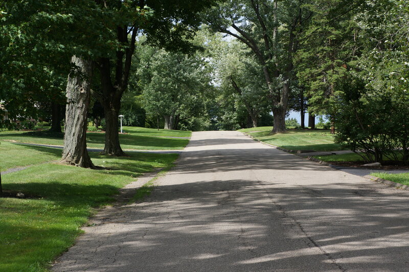 Asphalt Road in Park — Green
