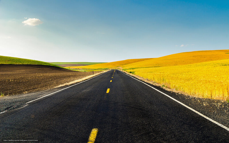 Asphalt Road Through Fields — Black