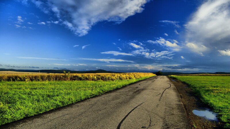 Asphalt Road Through Fields