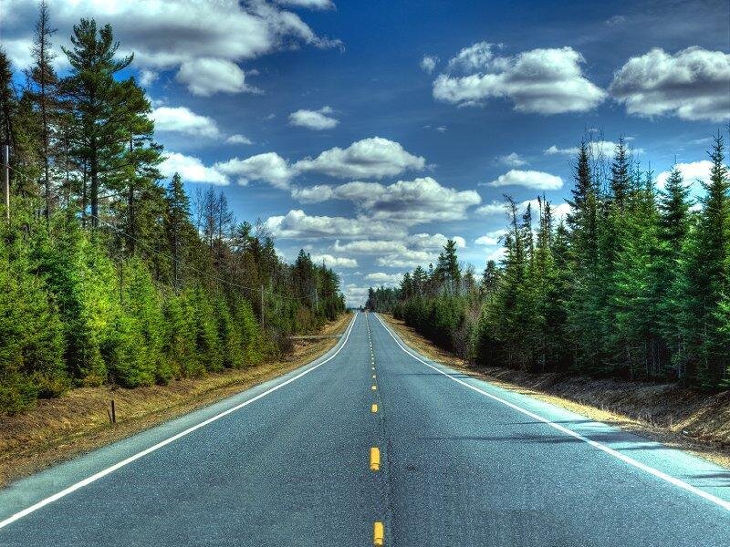 Asphalt Road Through Forest — Blue