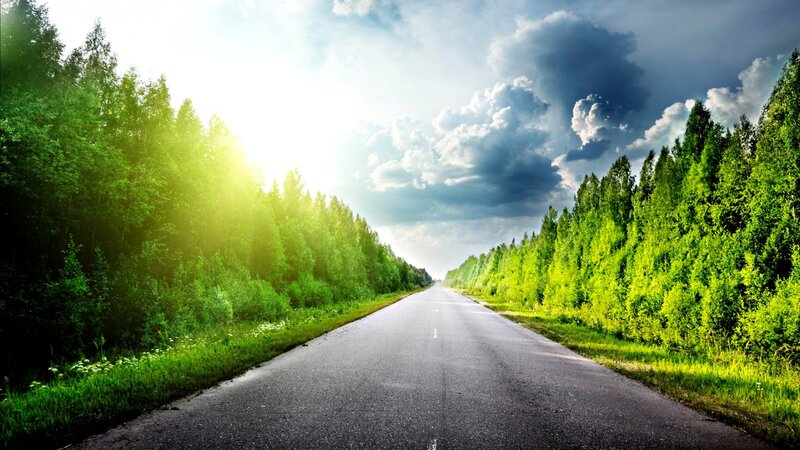 Asphalt Road Through Forest — Green, Dramatic, Afternoon, Photograph