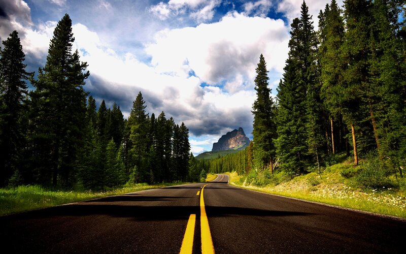 Asphalt Road Through Forest — Green, Dramatic, Afternoon, Photograph, Trees, Mountain