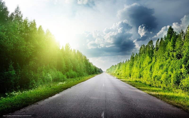 Asphalt Road Through Forest — Green, Dramatic, Afternoon, Photograph, Trees, Sky, Clouds, Sun