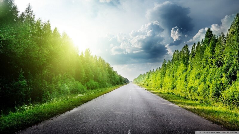 Asphalt Road Through Forest — Green, Dramatic, Afternoon, Photograph, Trees, Sky, Clouds