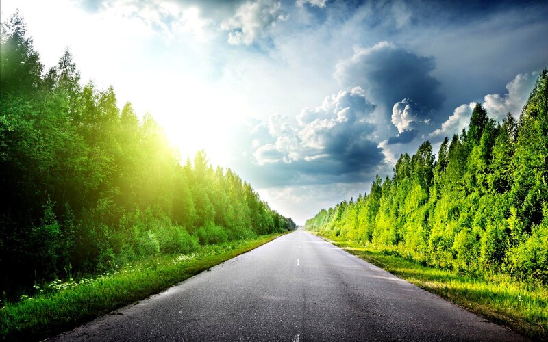 Asphalt Road Through Forest — Green, Dramatic, Afternoon, Photograph, Trees, Sky