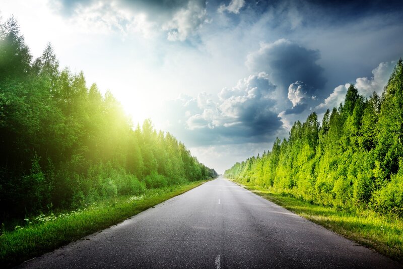Asphalt Road Through Forest — Green, Dramatic, Afternoon, Photograph, Trees