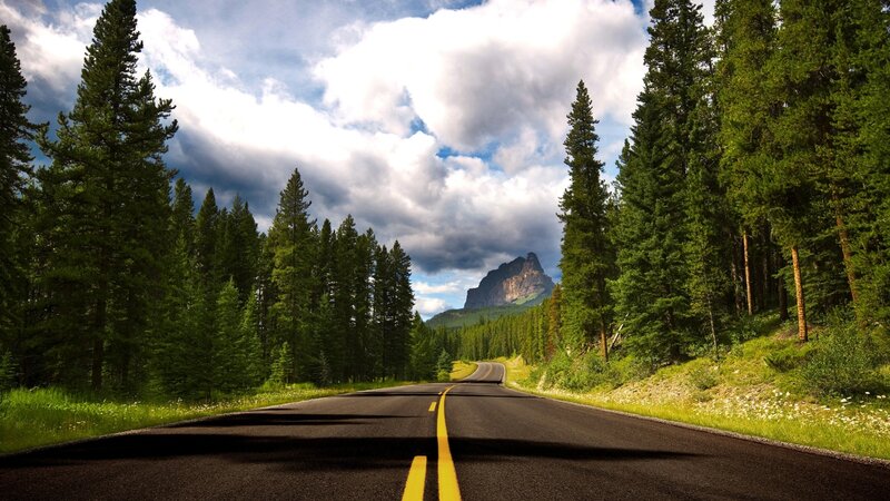 Asphalt Road Through Forest — Green, Dramatic, Afternoon