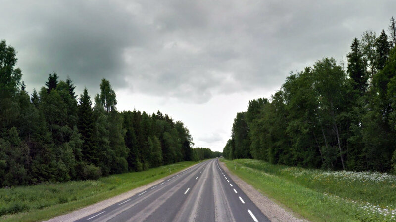 Asphalt Road Through Forest — Green, Overcast