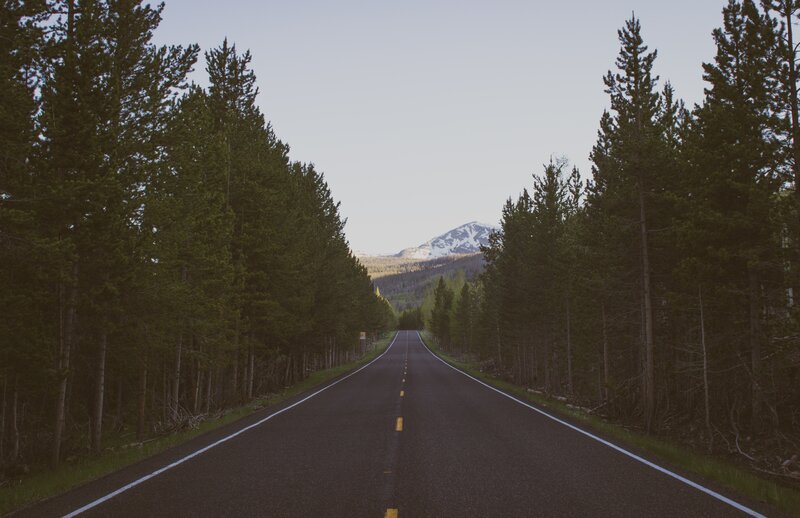 Asphalt Road Through Forest — Green, Serene, Morning
