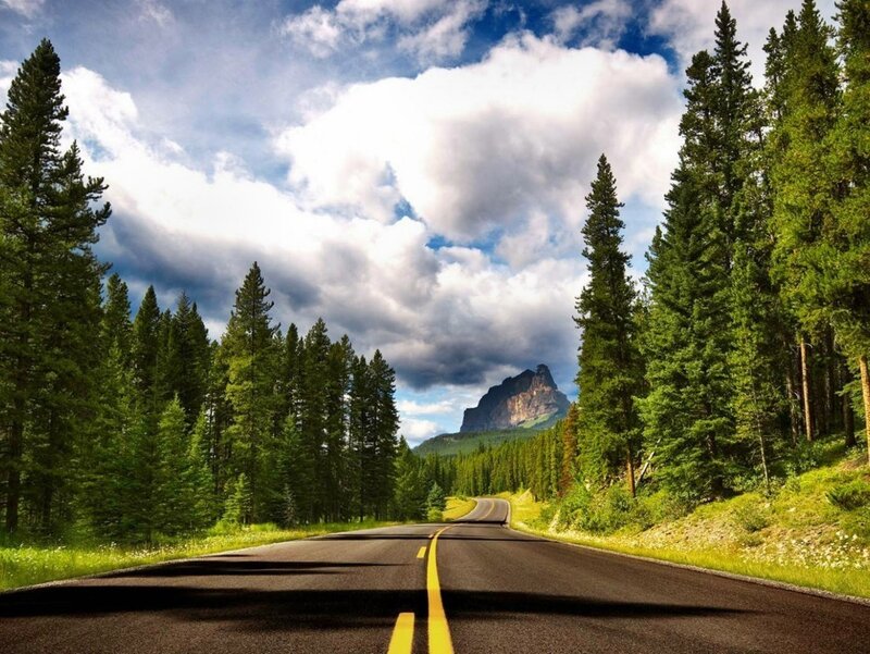 Asphalt Road Through Forest