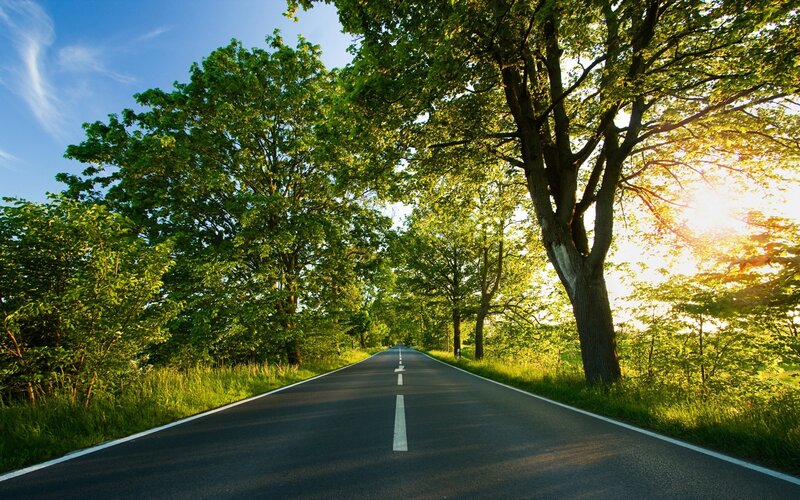 Asphalt Road Through Trees — Green, Serene, Afternoon, Photograph, Sunlight, Sky, Blue