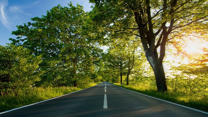 Asphalt Road Through Trees — Green, Serene, Afternoon, Photograph, Sunlight