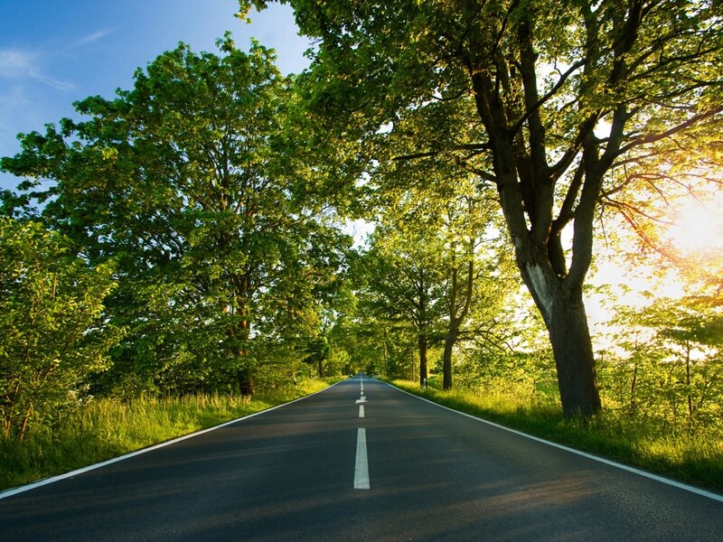 Asphalt Road Through Trees — Green, Serene, Afternoon
