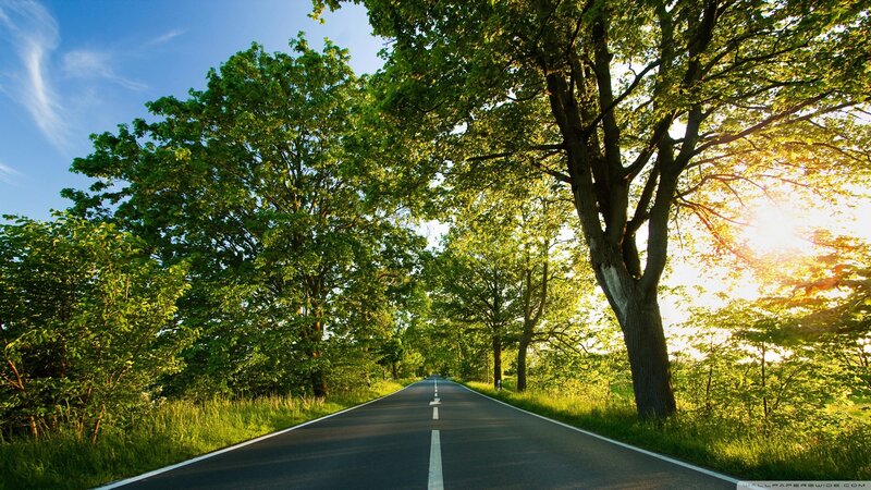 Asphalt Road Through Trees — Sky