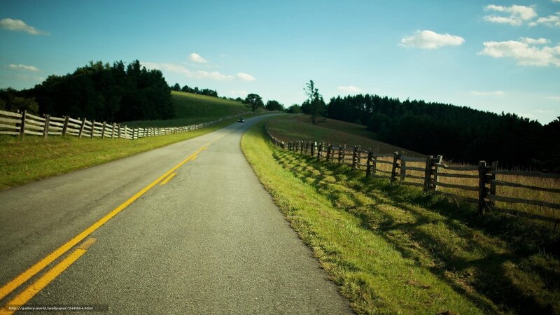 Asphalt Road with Fences