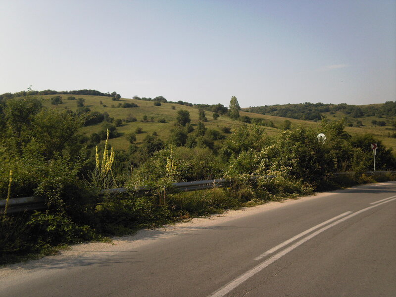 Asphalt Road with Guardrail