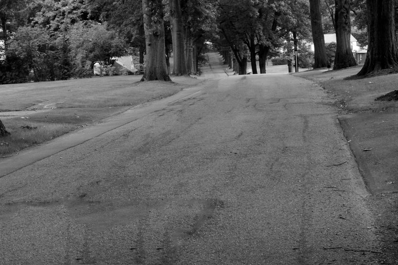 Asphalt Road with Trees — Black, Calm