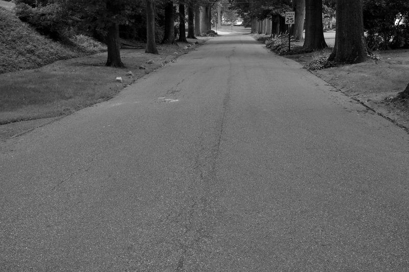 Asphalt Road with Trees — Black