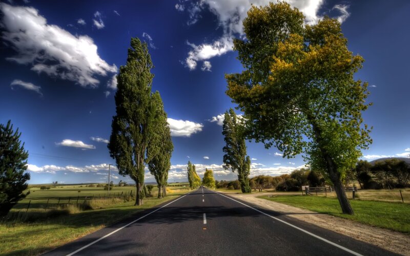 Asphalt Road with Trees — Blue, Serene, Afternoon