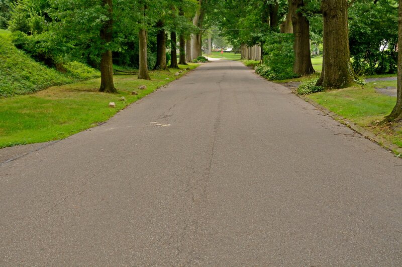 Asphalt Road with Trees — Green, Serene, Afternoon