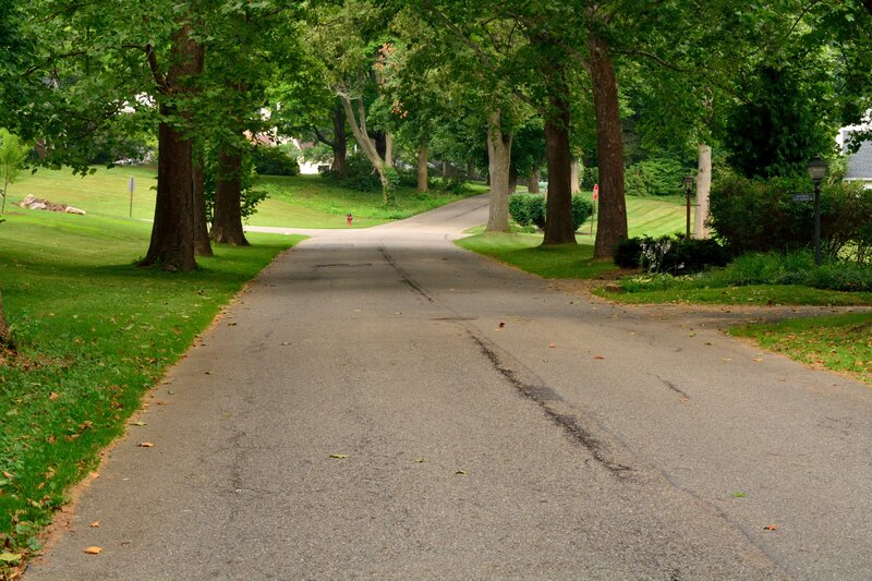 Asphalt Road with Trees — Green, Serene, Summer, Photograph