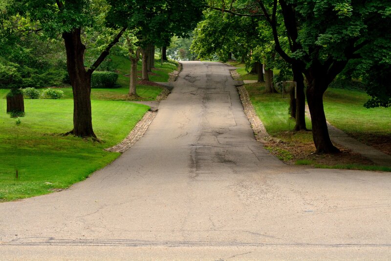 Asphalt Road with Trees — Green, Serene, Summer