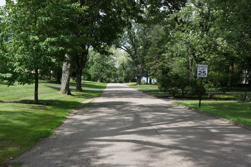Asphalt Road with Trees — Green, Serene