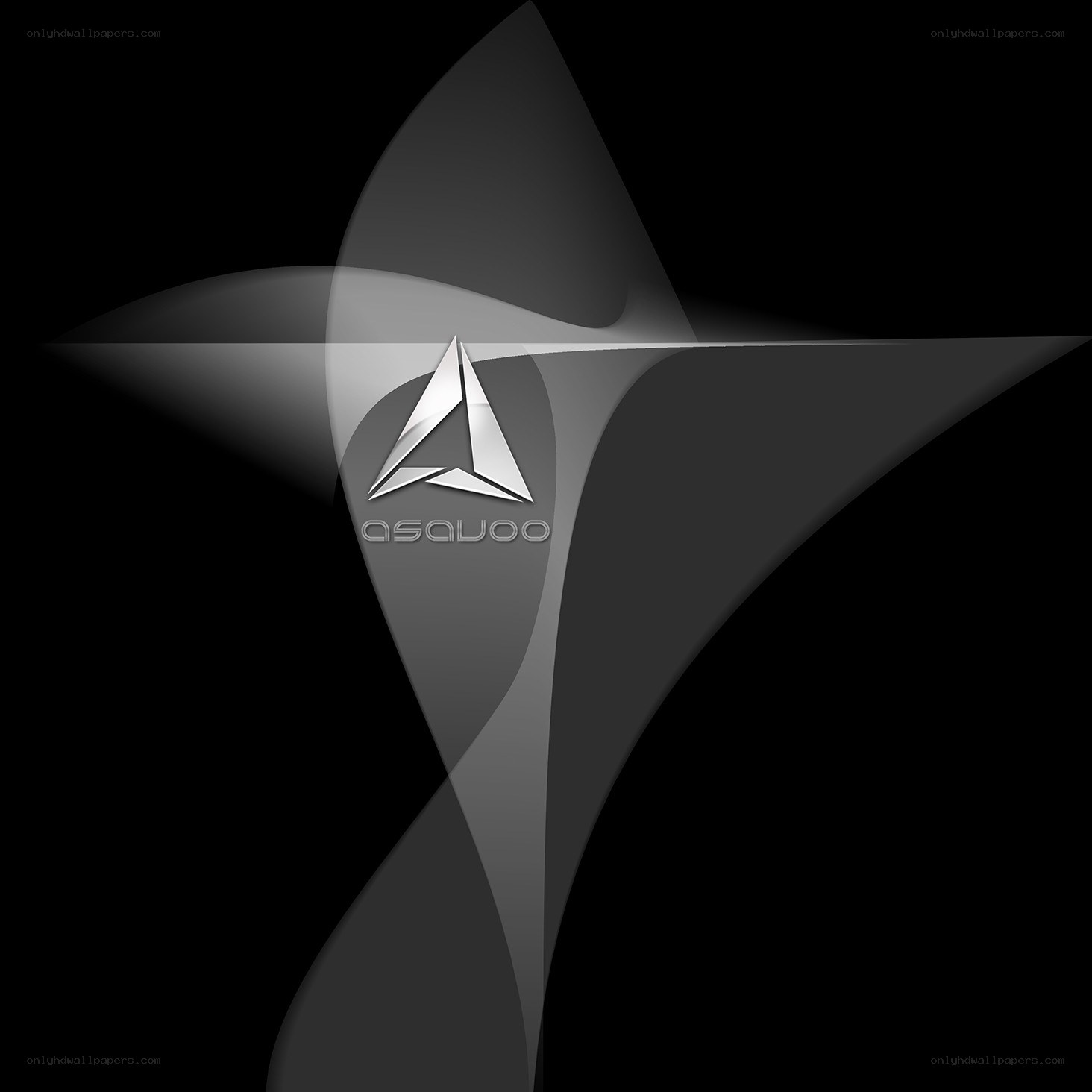 Asquoo logo with abstract design