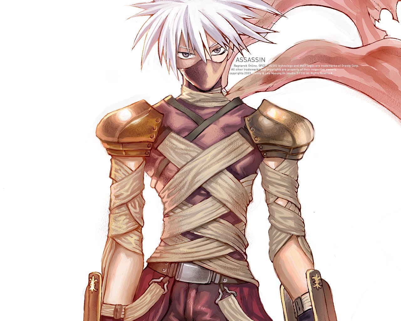 Assassin character from Ragnarok Online
