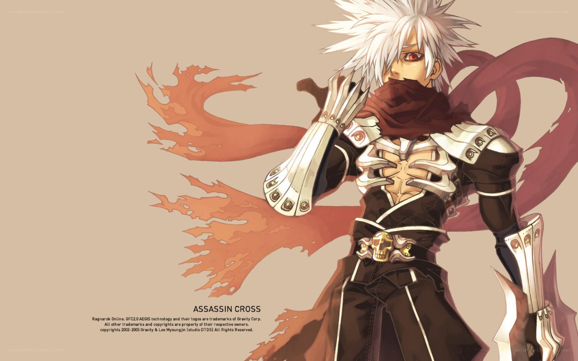 Assassin Cross character art