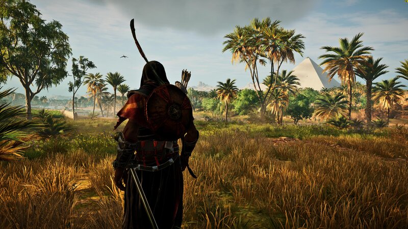 Assassin in Desert — Brown