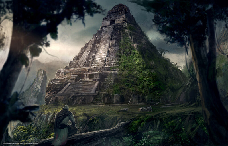 Assassin in Jungle