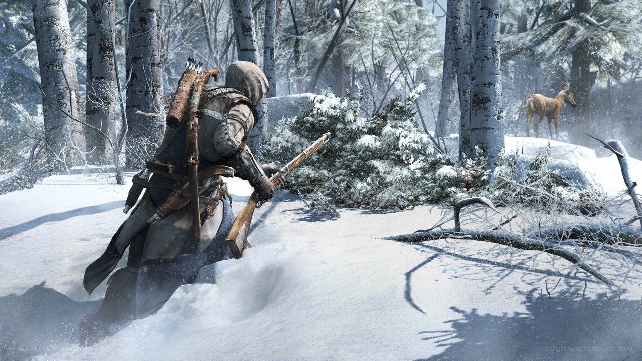 Assassin in snowy forest