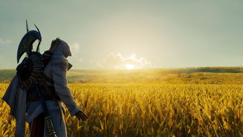 Assassin in Wheat Field — Yellow