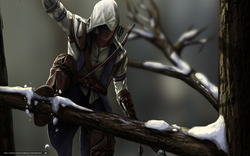 Assassin on a snowy branch