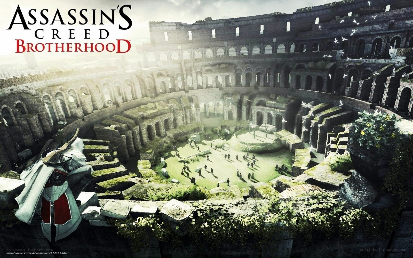 Assassin's Creed Brotherhood