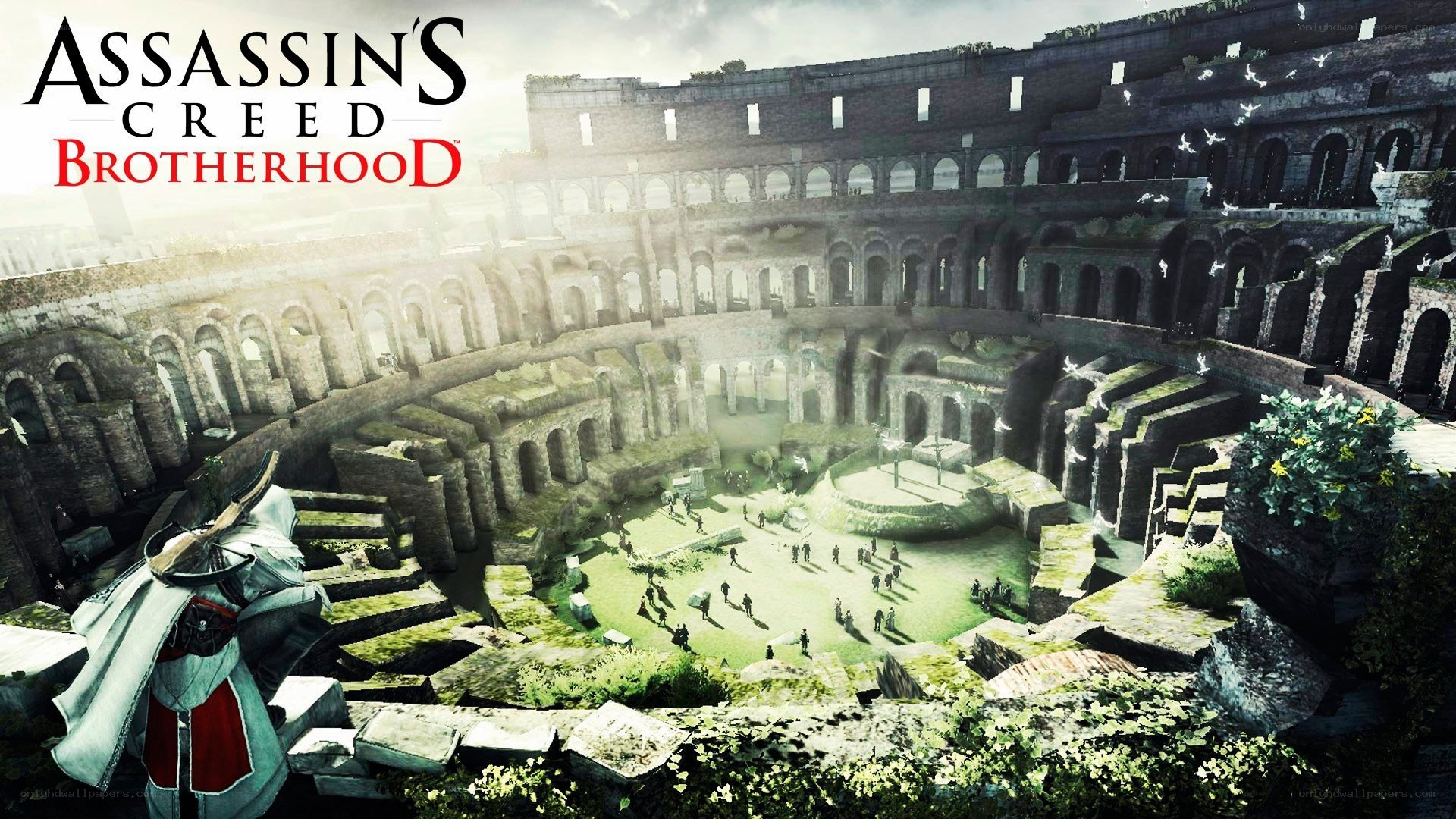 Assassin's Creed Brotherhood