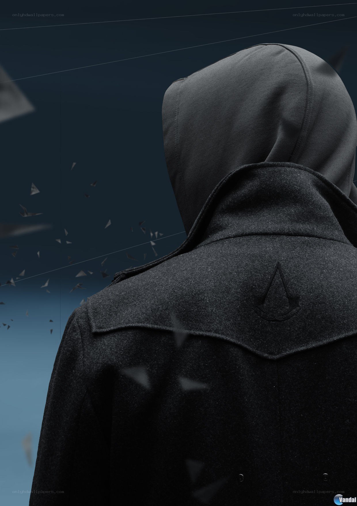 Assassin's Creed character back view