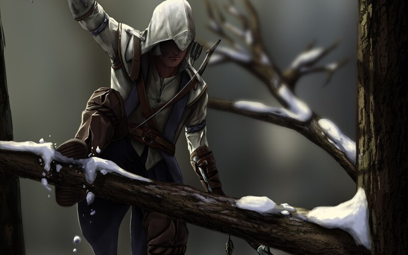 Assassin's Creed character on snowy branch