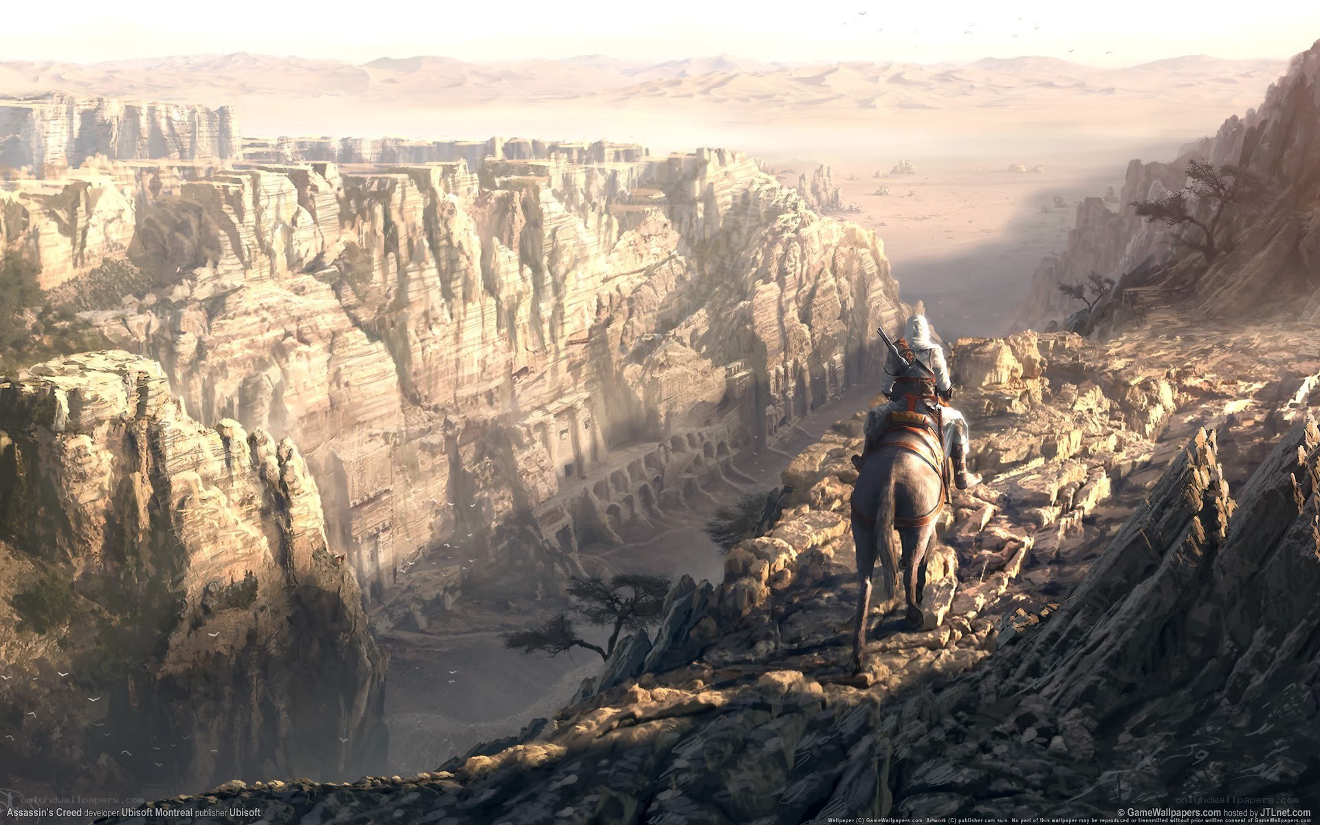 Assassin's Creed desert canyon