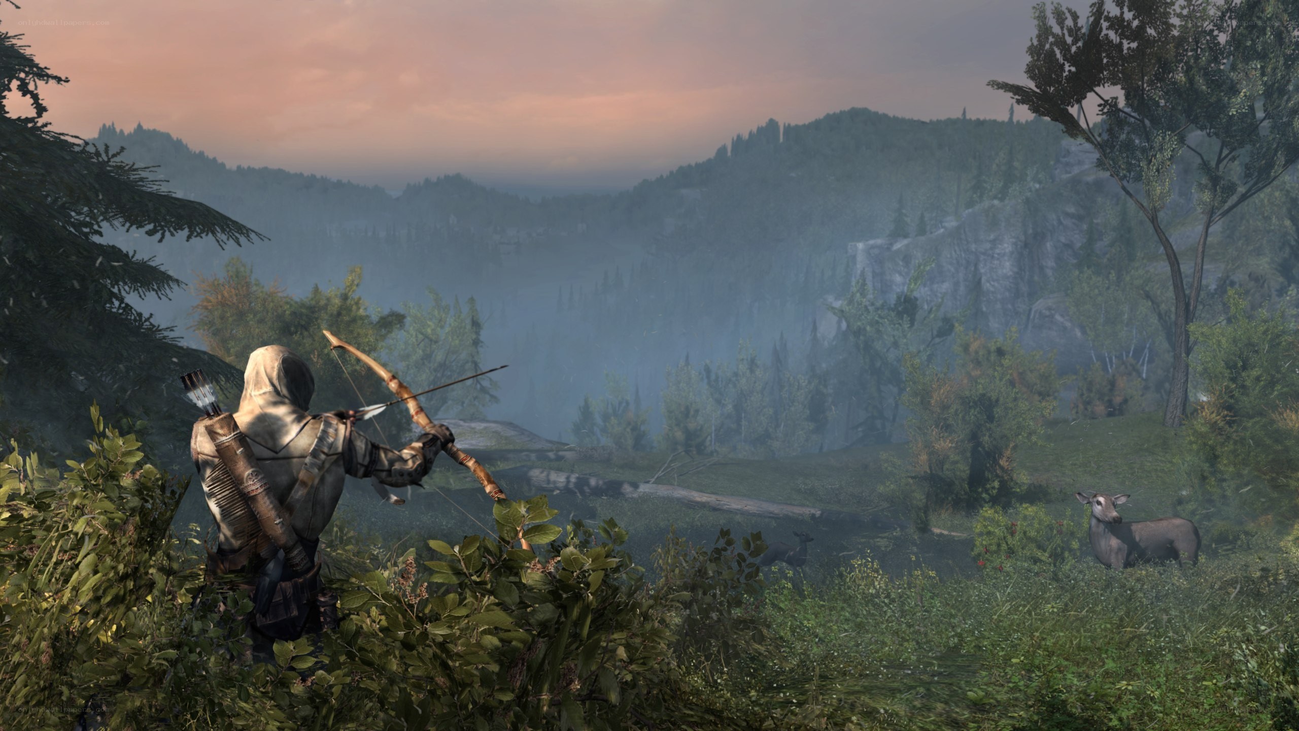 Assassin's Creed III gameplay