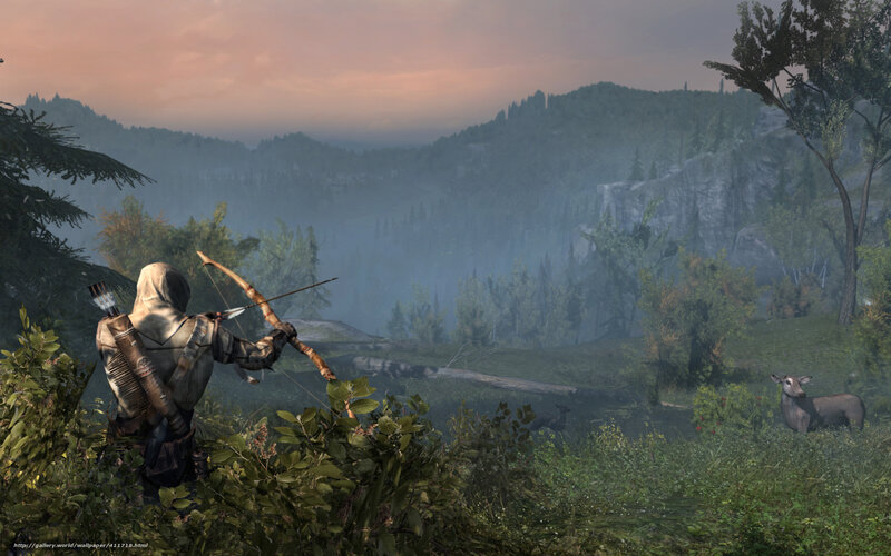 Assassin's Creed III