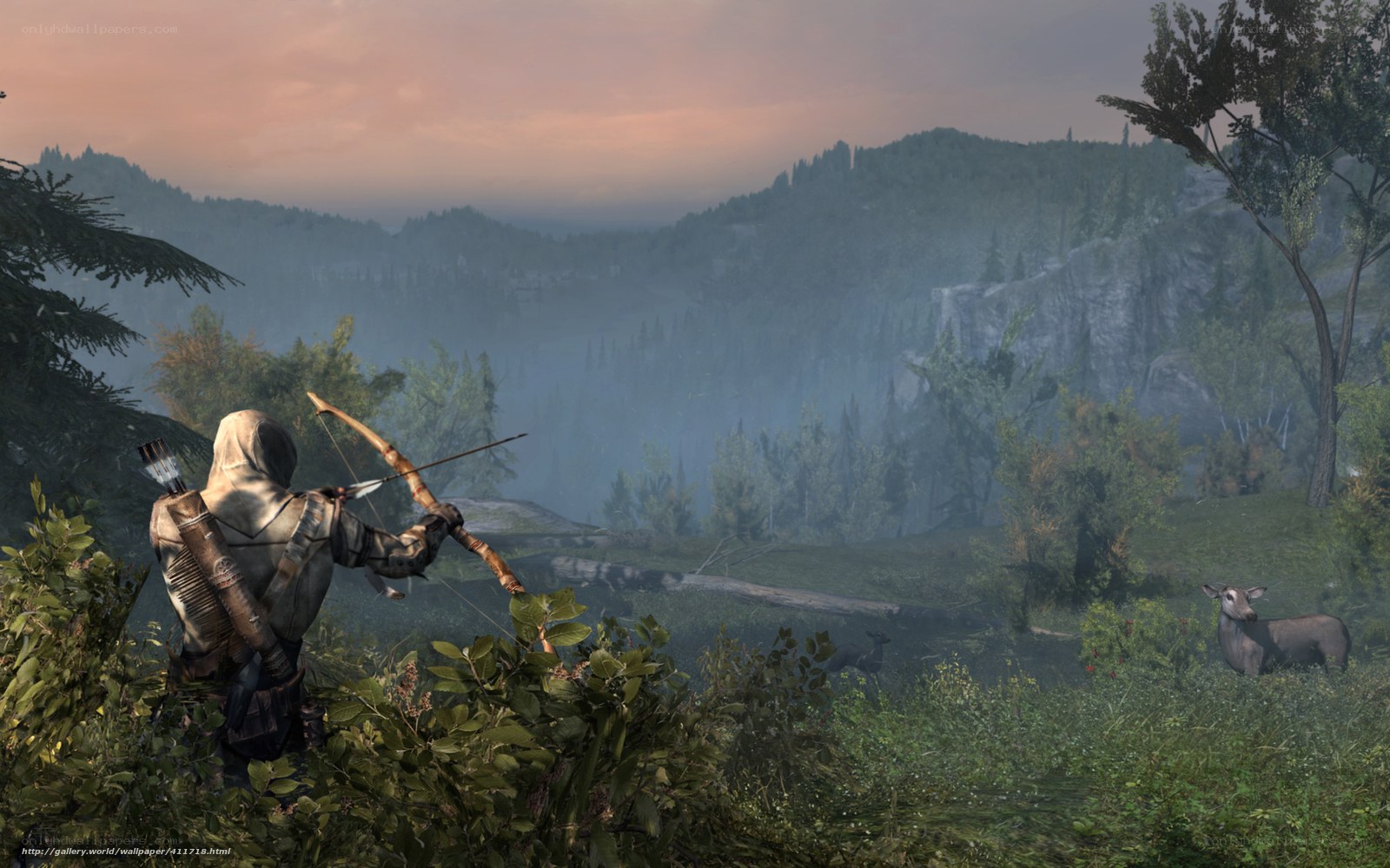Assassin's Creed III