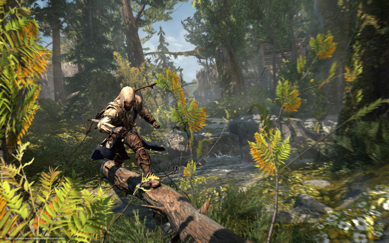 Assassin's Creed in the forest