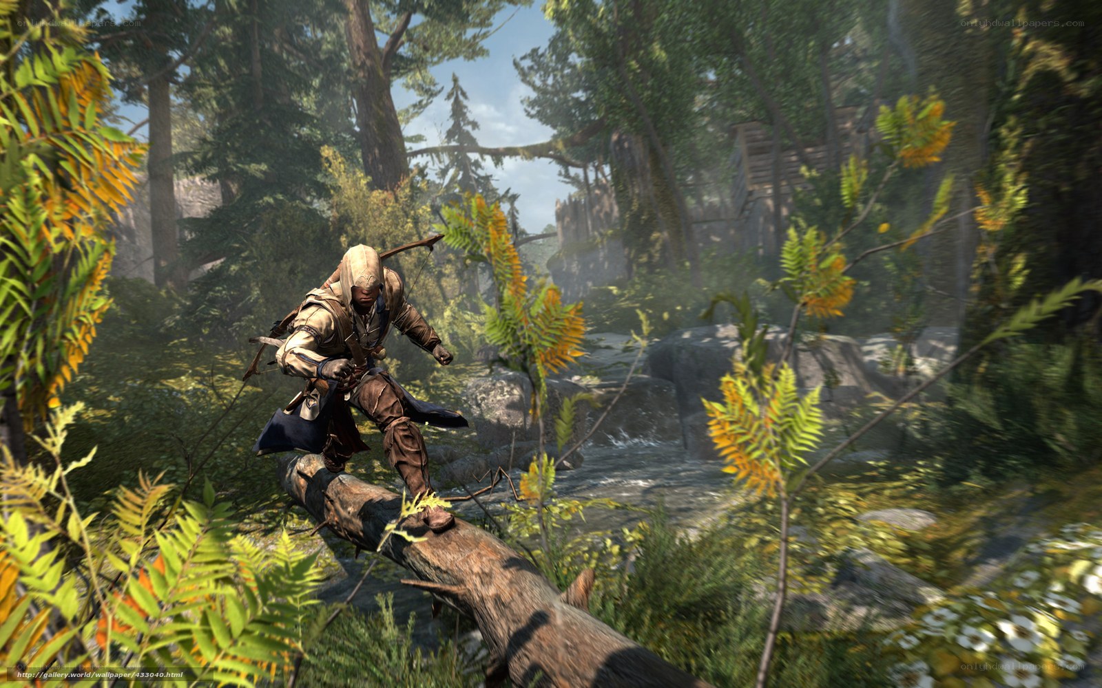 Assassin's Creed in the forest