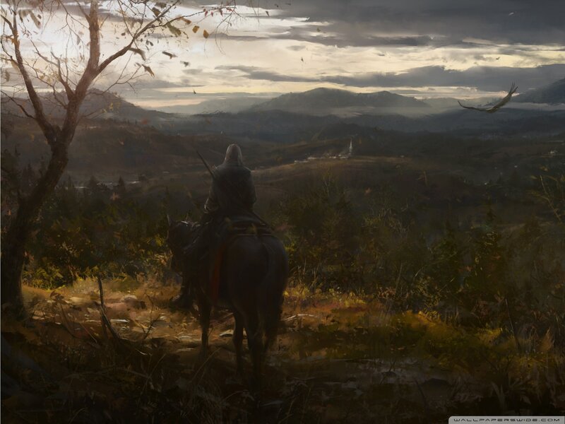 Assassin's Creed rider overlooks valley