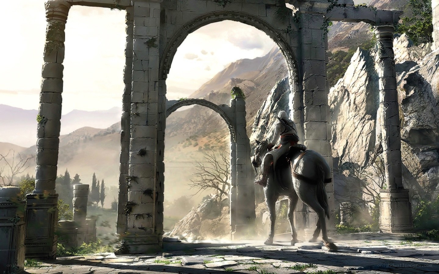Assassin's Creed rider